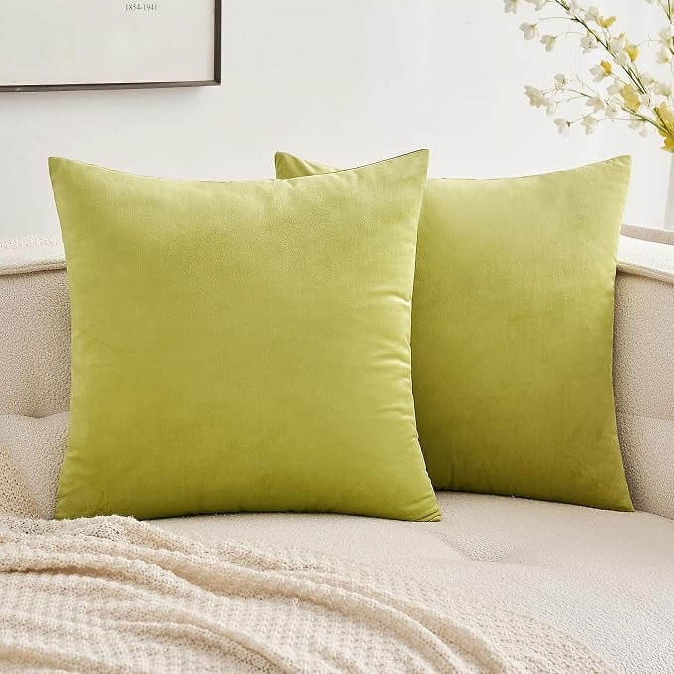 Green Velvet Euro Throw Pillow Covers Set of 2