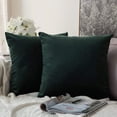 thumbnail image 1 of Cterwk Set of 2 Velvet Throw Pillow Covers 18x18inch Decorative Square Cushion Case for Bed Couch Sofa, 1 of 8
