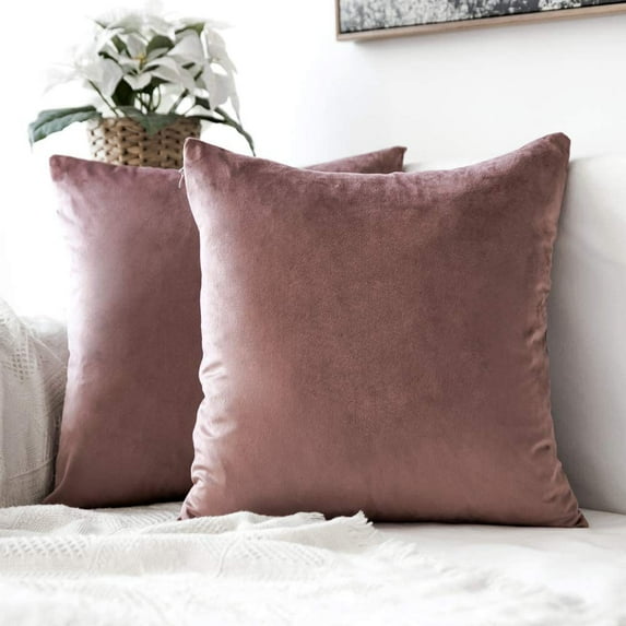 Cterwk Set of 2 Velvet Throw Pillow Covers, Soft Decorative Square Pillowcases, Luxury Home Décor Cushion Case, 18x18 inch