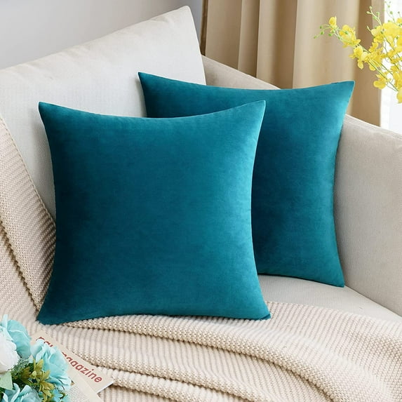 Cterwk Set of 2 Velvet Throw Pillow Covers, Soft Decorative Square Pillowcases, Luxury Home Décor Cushion Case, 18x18 inch