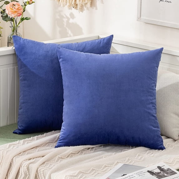 Cterwk Set of 2 Velvet Throw Pillow Covers, Soft Decorative Square Pillowcases, Luxury Home Décor Cushion Case, 20x20 inch