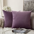 thumbnail image 1 of Cterwk Set of 2 Velvet Throw Pillow Covers, Soft Decorative Square Pillowcases, Luxury Home Décor Cushion Case, 20x20 inch, 1 of 8