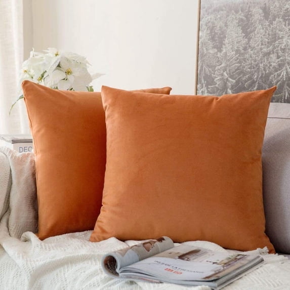 Cterwk Set of 2 Velvet Throw Pillow Covers, Soft Decorative Square Pillowcases, Luxury Home Décor Cushion Case, 22x22 inch