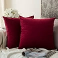 thumbnail image 1 of Cterwk Super Soft Velvet Square Throw Pillow Covers Decorative Cushion Cover for Bed Couch Sofa, 22x22inch, Set of 2, 1 of 9