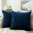 thumbnail image 1 of Cterwk Set of 2 Velvet Throw Pillow Covers, Soft Decorative Square Pillowcases, Luxury Home Décor Cushion Case, 22x22 inch, 1 of 8
