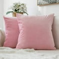 thumbnail image 1 of Cterwk Set of 2 Velvet Throw Pillow Covers, Soft Decorative Square Pillowcases, Luxury Home Décor Cushion Case, 22x22 inch, 1 of 8