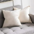 thumbnail image 1 of Cterwk Set of 2 Velvet Throw Pillow Covers with Zipper, 18x18 Inches Decorative Soft Solid Pillow Covers for Couch Bed Sofa, 1 of 7