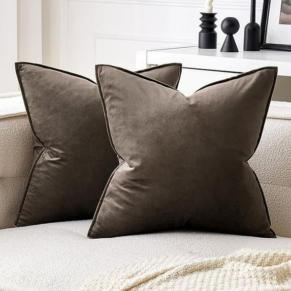 Cterwk Set of 2 Velvet Throw Pillow Covers with Zipper, 18x18 Inches Decorative Soft Solid Pillow Covers for Couch Bed Sofa