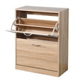 thumbnail image 1 of Cterwk Shoe Storage Cabinet with 2 Flip Doors, Brown, 20.94x9.45x43.11 inch, 1 of 8