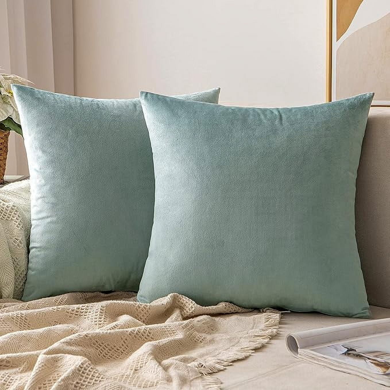 Cterwk Super Soft Velvet Square Throw Pillow Covers Decorative Cushion Cover for Bed Couch Sofa, 24x24inch, Set of 2