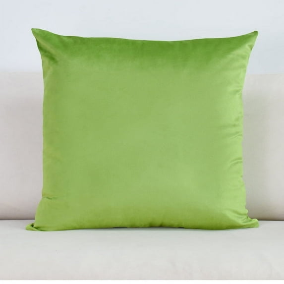 Cterwk Throw Pillow Covers Velvet Couch Decorative Cushion Case for Sofa Bedroom Car, 20 x 20inch