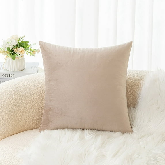 Cterwk Velvet Super Soft Throw Pillow Covers Decorative Square Solid Thick Cushion Case for Sofa Couch Living Room, 20 x 20inch