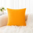 thumbnail image 1 of Cterwk Velvet Super Soft Throw Pillow Covers Decorative Square Solid Thick Cushion Case for Sofa Couch Living Room, 24 x 24inch, 1 of 7