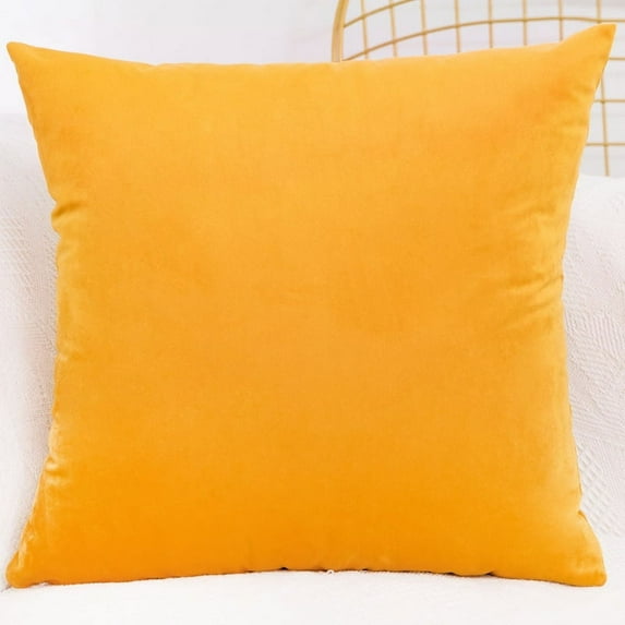 Cterwk Velvet Throw Pillow Cover Decorative Square Pillowcase Soft Cushion Cover Case, 17.72x17.72 inch