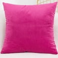 thumbnail image 1 of Cterwk Velvet Throw Pillow Cover Decorative Square Pillowcase Soft Cushion Cover Case, 19.69x19.69 inch, 1 of 7