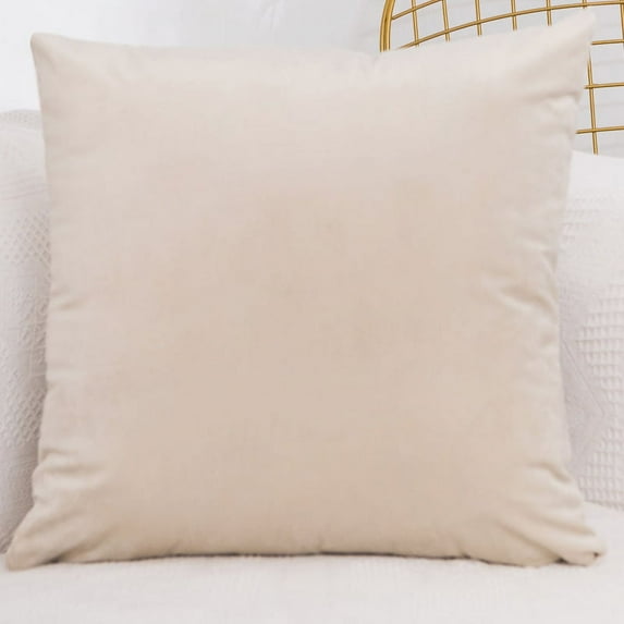 Cterwk Velvet Throw Pillow Cover Decorative Square Pillowcase Soft Cushion Cover Case, 23.62x23.62 inch
