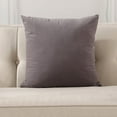 thumbnail image 1 of Cterwk Velvet Throw Pillow Covers Super Soft Decorative Square Cushion Covers for Sofa Couch Bedroom Car Decor, 16x16inch, 1 of 7