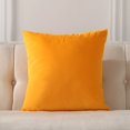 thumbnail image 1 of Cterwk Velvet Throw Pillow Covers Super Soft Decorative Square Cushion Covers for Sofa Couch Bedroom Car Decor, 20x20inch, 1 of 7