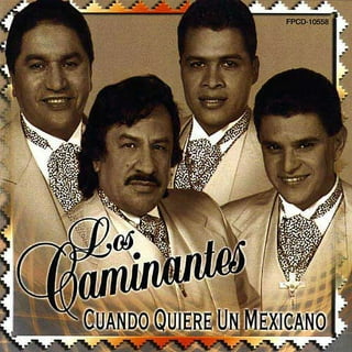 20 Exitos Immortales En Musica Continua Trio Vegabajeno CD