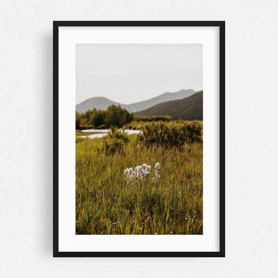 Cub Lake Wildflowers II - Estes Park Colorado Photography Nature ...