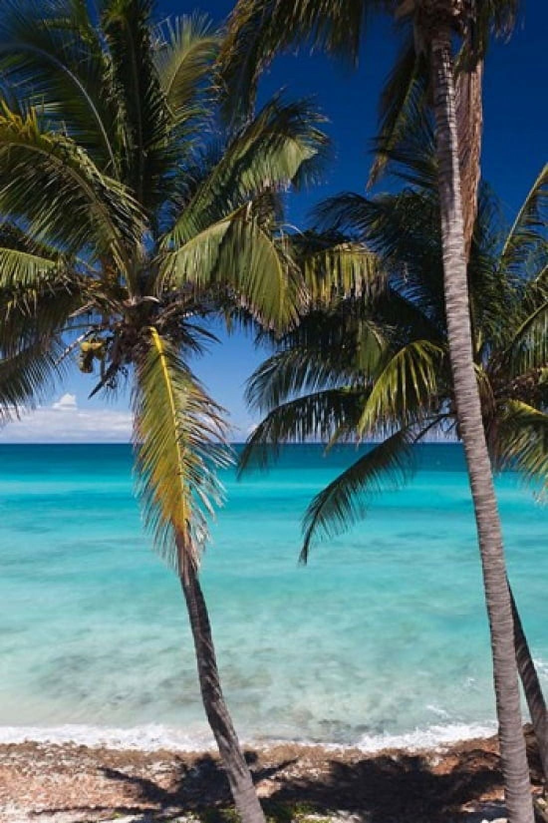 Cuba Matanzas Province Varadero Varadero Beach palms Canvas Art - Walter Bibikow DanitaDelimont (19 x 28)