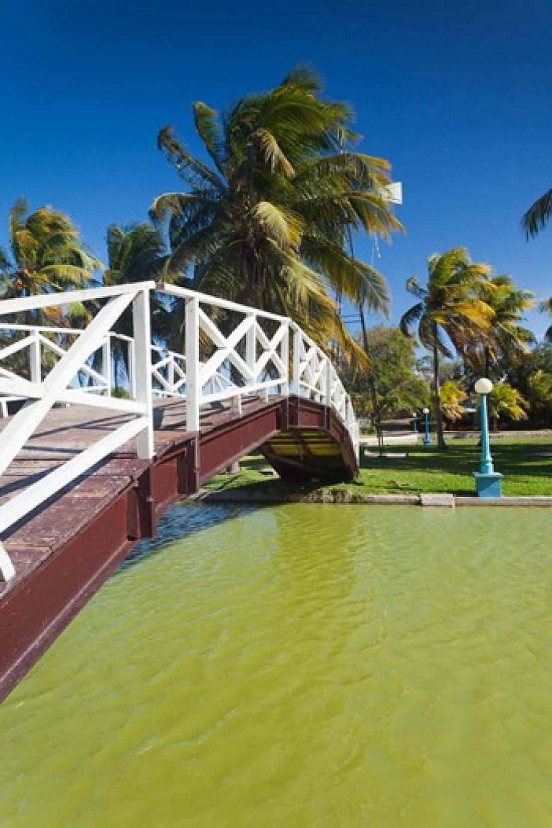 Cuba Matanzas Varadero Parque Josone park bridge Canvas Art - Walter Bibikow DanitaDelimont (19 x 28)