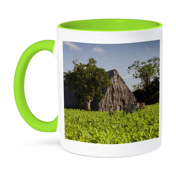 3dRose, Cuba, Pinar del Rio Province, Tobacco plantation - CA11 WBI0413 - Walter Bibikow, 11oz Two-Tone Green Mug