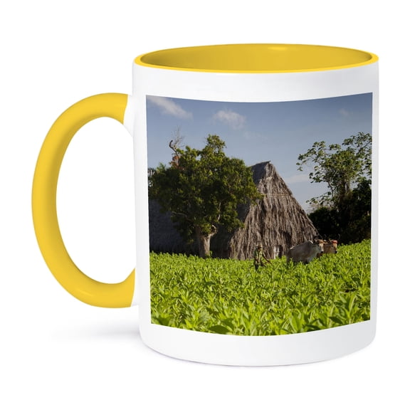 3dRose, Cuba, Pinar del Rio Province, Tobacco plantation - CA11 WBI0413 - Walter Bibikow, 15oz Two-Tone Yellow Mug