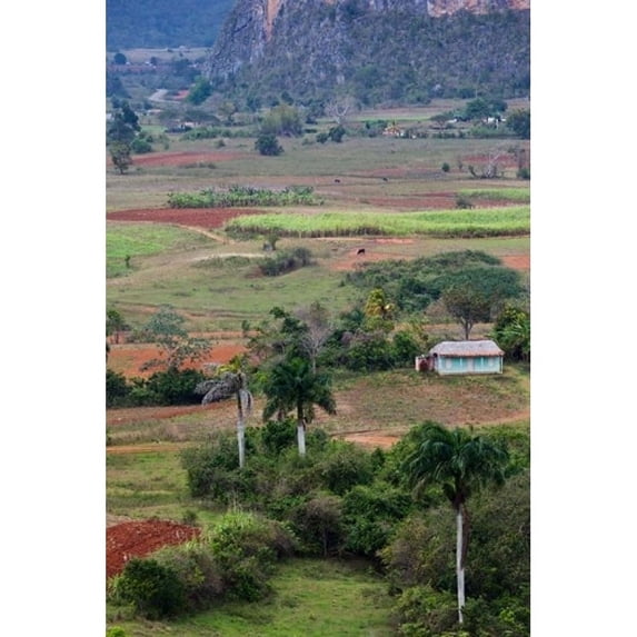 Cuba Pinar del Rio Province Vinales Valley Poster Print by Walter Bibikow (24 x 36)