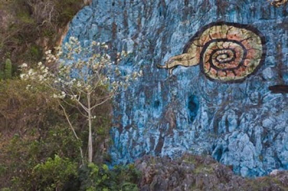 Cuba Pinar del Rio Vinales Mural de Prehistoria Canvas Art - Walter Bibikow DanitaDelimont (28 x 19)