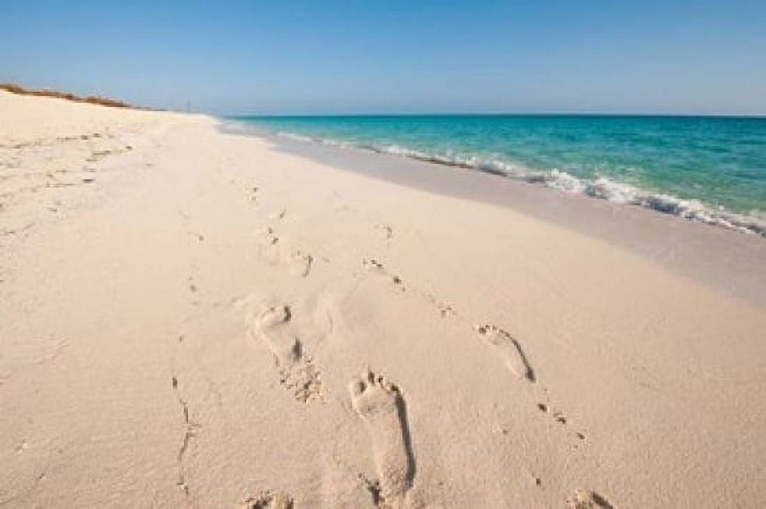 Cuba Sol Cayo Santa Maria Resort Footprints Canvas Art - Michael DeFreitas DanitaDelimont (24 x 15)