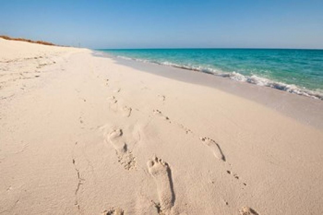 Cuba Sol Cayo Santa Maria Resort Footprints Canvas Art - Michael DeFreitas DanitaDelimont (35 x 23)