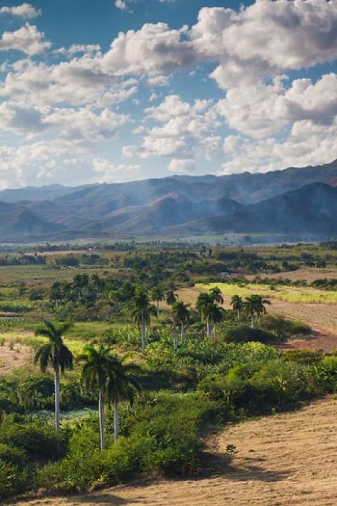 Cuba Trinidad Valle de los Ingenios Valley Canvas Art - Walter Bibikow DanitaDelimont (24 x 36)