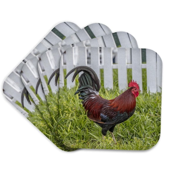 3drose, Cubalaya Gypsy Rooster in Key West, Florida, Usa., Set of 4 Coasters - Soft