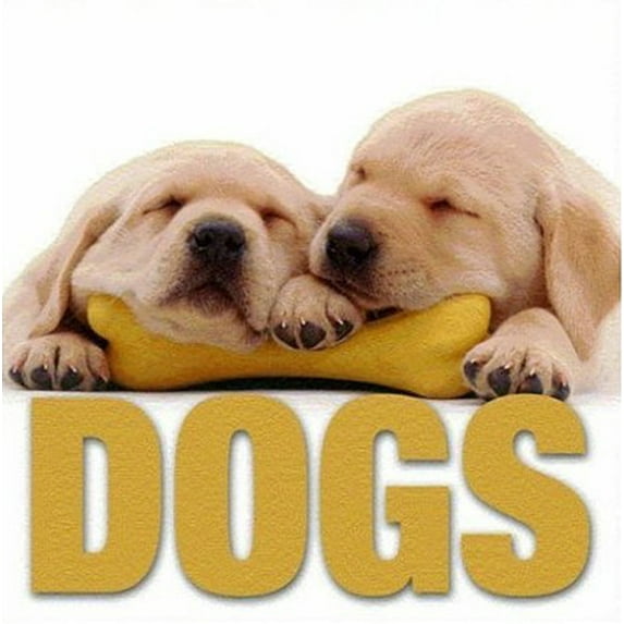 Cubebook: Dogs (Hardcover)