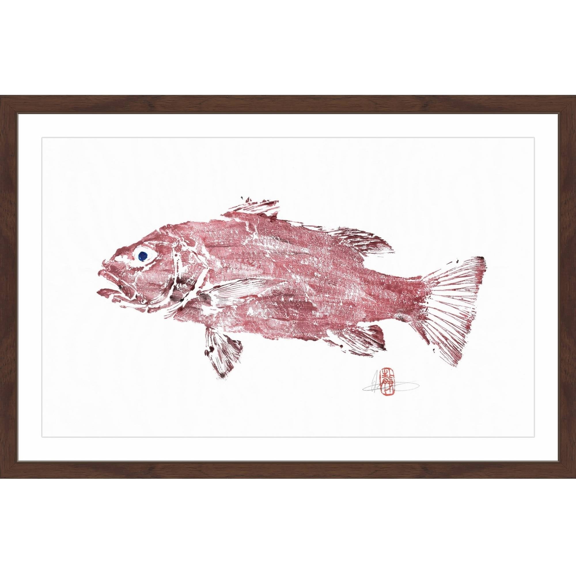 "Cubera Snapper" Framed Painting Print