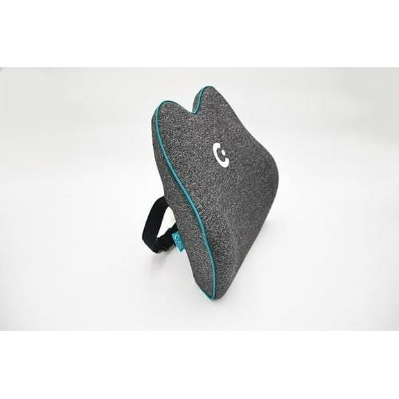 Cubii Cushii V2 Back Support Cushion for Back and Lower Back Pain Relief - Universal Fit for Desk, Office, Kitchen Chairs, Couch Cushions with Advanced Back Lumbar Support