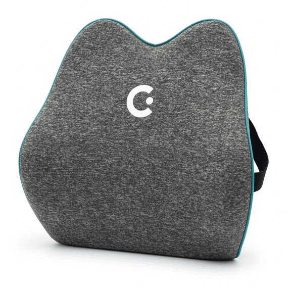 Cubii Cushii V2 Back Support Cushion for Back and Lower Back Pain Relief - Universal Fit for Desk, Office, Kitchen Chairs, Couch Cushions with Advanced Back Lumbar Support