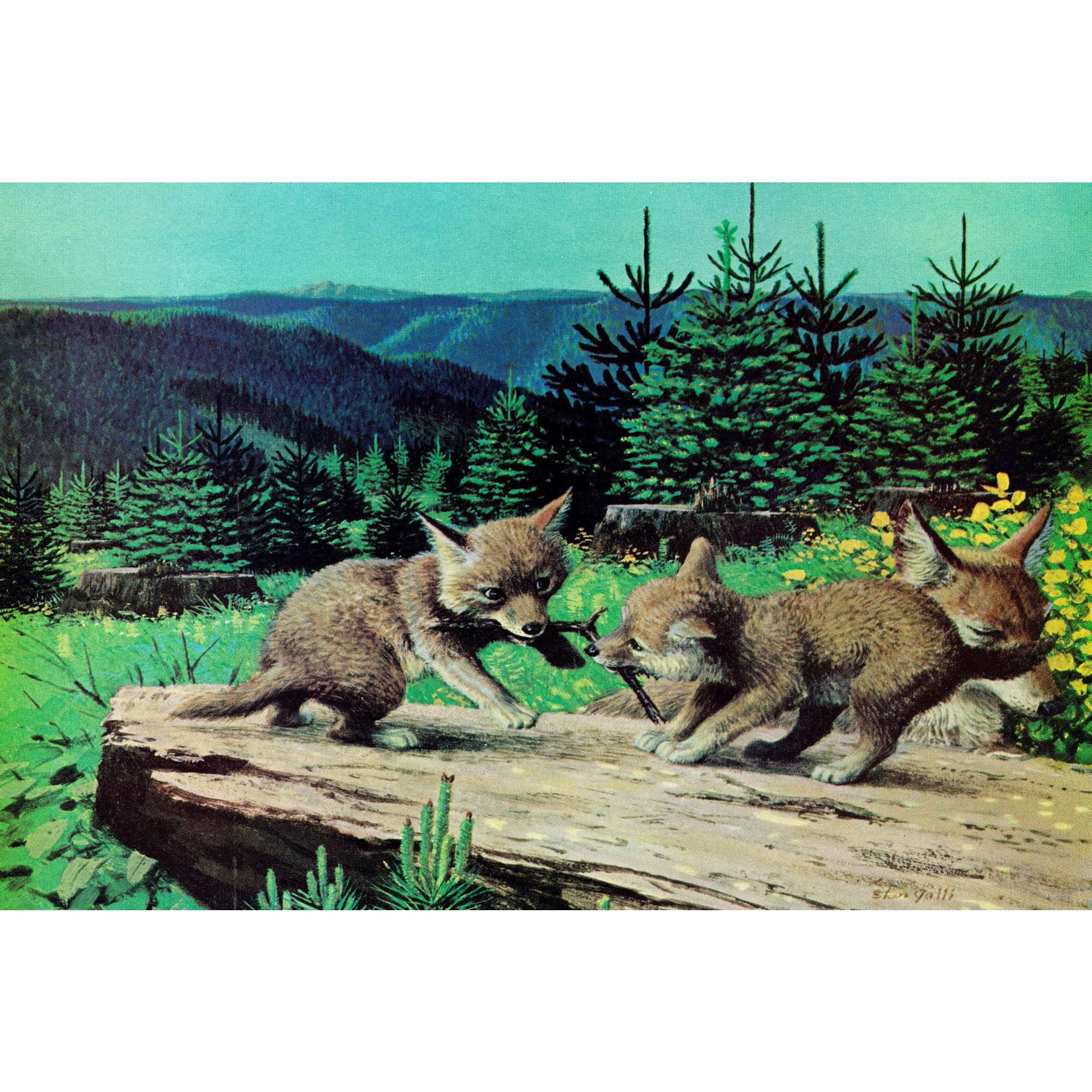 "Cubs at Play" Painting Print on Wrapped Canvas