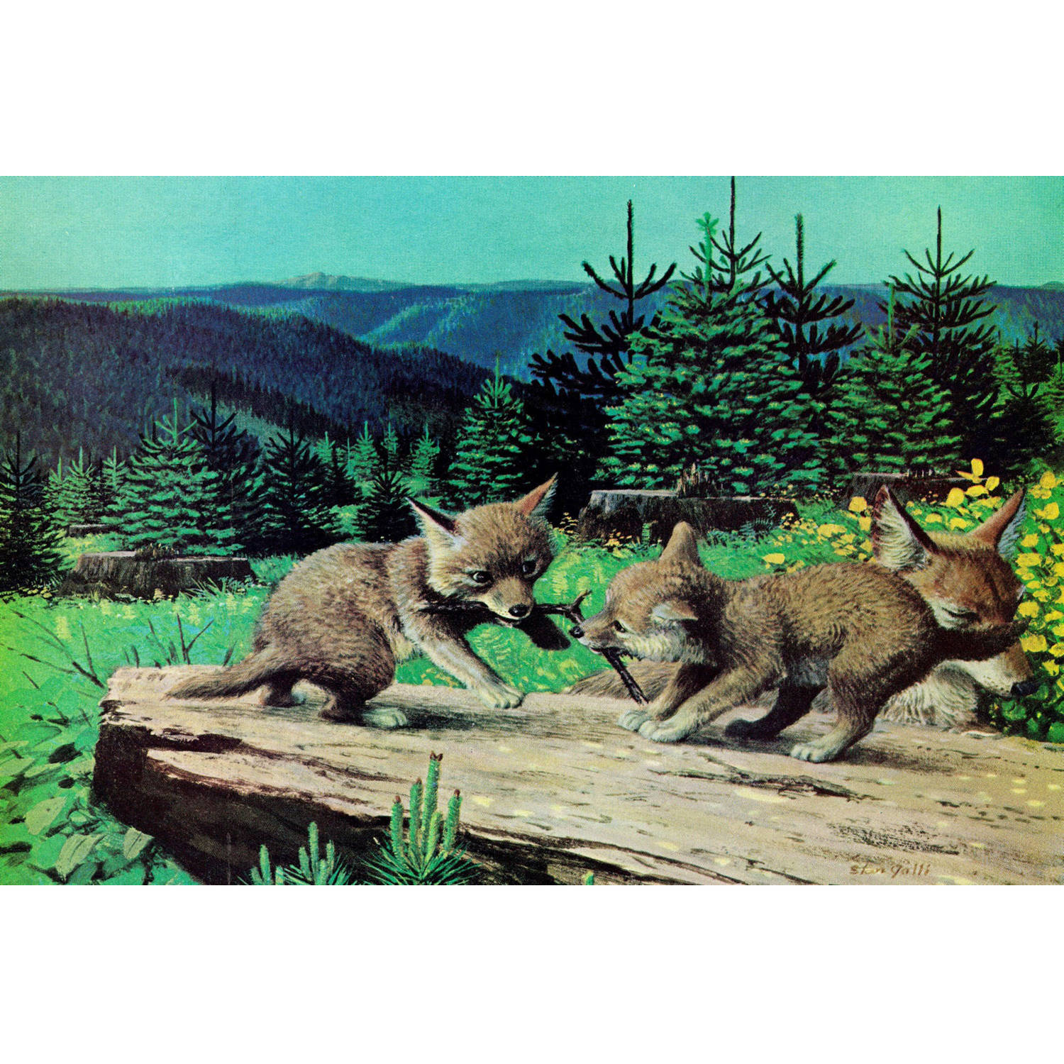 "Cubs at Play" Painting Print on Wrapped Canvas