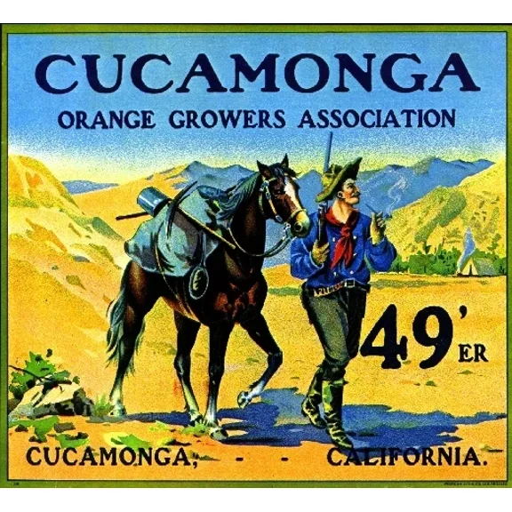 Cucamonga 49'Er 49Er 49Ers Gold Miner Orange Citrus Fruit Art Prnt Home Decor Office Wall Art