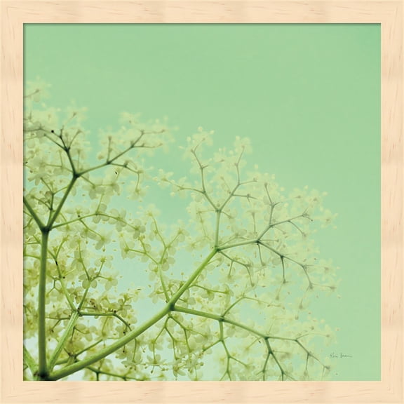 Cuckoo Flowers by Keri Bevan, Framed Wall Art, 13.25W x 13.25H