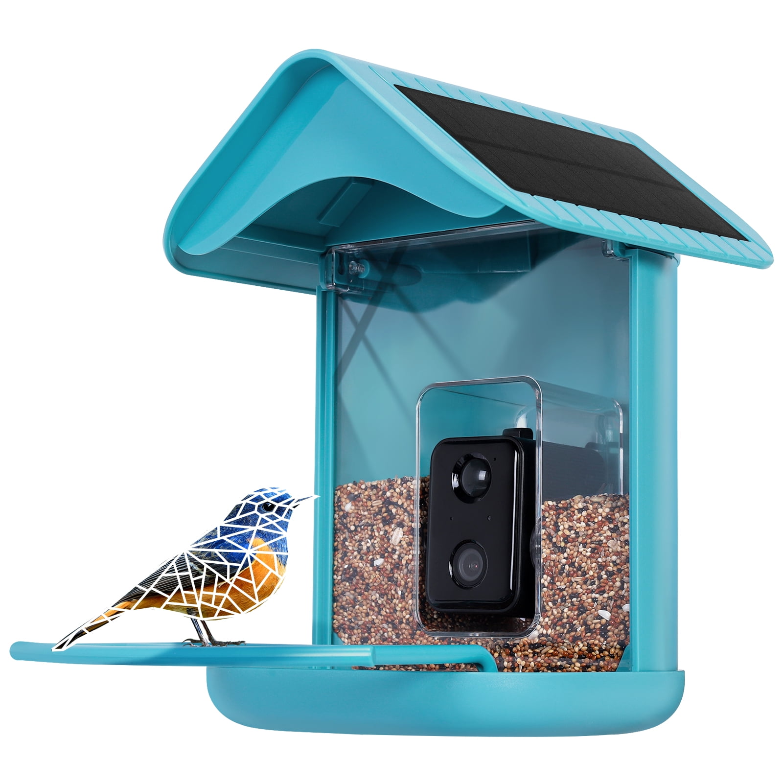 Cozion WiFi Bird Feeder with Solar Camera Identifies Bird Species Bird  Feeder Wild Bird Feeder Station Wild Bird Feeder with Camera Auto Recording  App Notification 32G : : Garden
