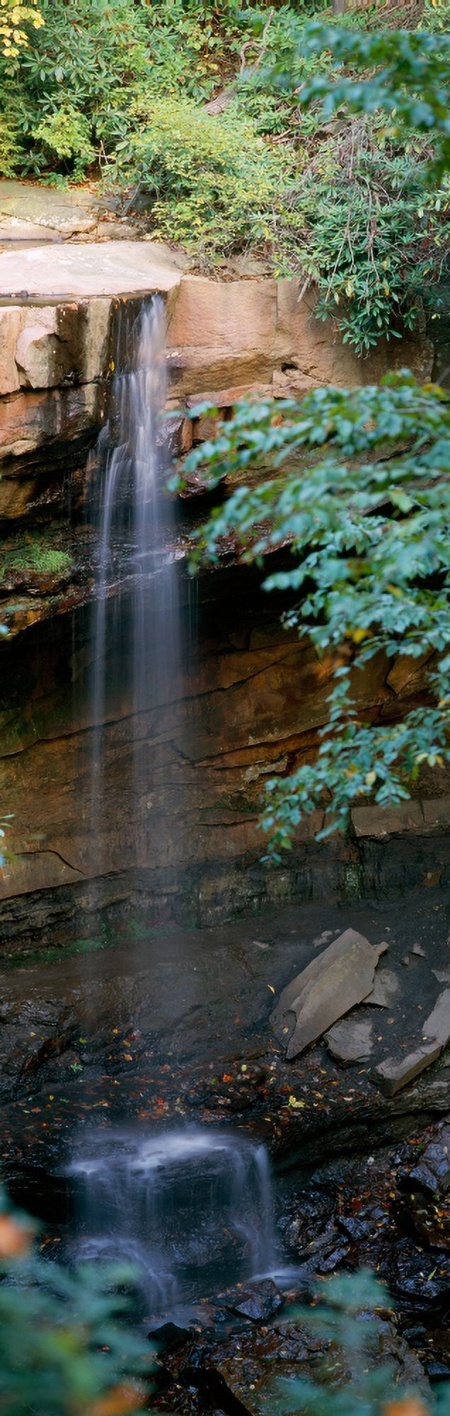 Cucumber Falls Ohiopyle State Park Ohiopyle PA Canvas Art - Panoramic Images (27 x 9)