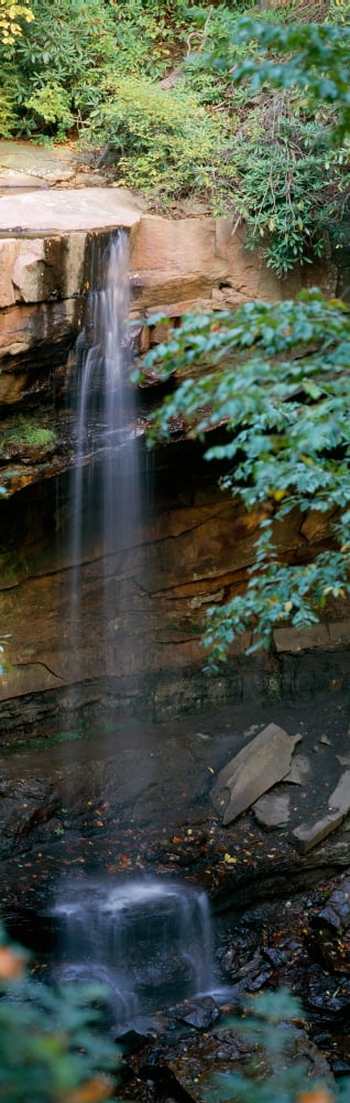 Cucumber Falls Ohiopyle State Park Ohiopyle PA Canvas Art - Panoramic Images (36 x 12)