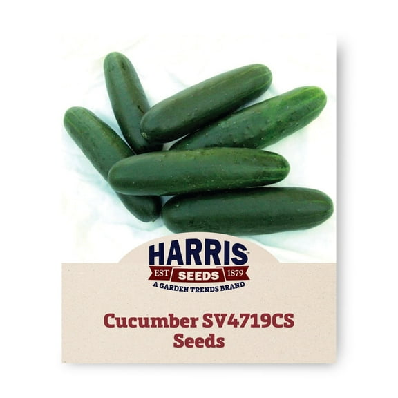 Harris Seeds - Cucumber SV4719CS F1 Seeds - Treated Variety - Dark Green Fruits - 500 Seeds