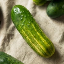 Cucumber Seeds - Carolina F1 - 3 g Packet ~100 Seeds - Cucumis sativus - Farm & Garden Vegetable Seeds - Non-GMO, Hybrid, Annual