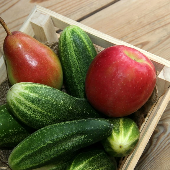 Cucumber Seeds - Delikatesse - 3 g Packet ~90 Seeds - Cucumis sativus - Farm & Garden Vegetable Seeds - Non-GMO, Heirloom, Open Pollinated, Annual