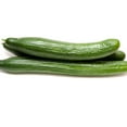 thumbnail image 1 of Cucumber Seeds - Early Spring Burpless F1 - 1 Oz ~950 Seeds - Cucumis sativus - Farm & Garden Vegetable Seeds - Non-GMO, Hybrid, Annual, 1 of 1