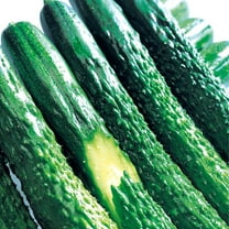 Cucumber Seeds - Zipangu - Hybrid - 500 Mg Packet ~20 Seeds - Non-GMO, F1 Hybrid - Asian Garden Vegetable